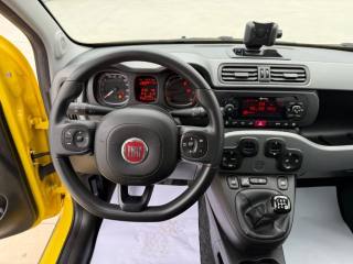 FIAT Panda usata 16