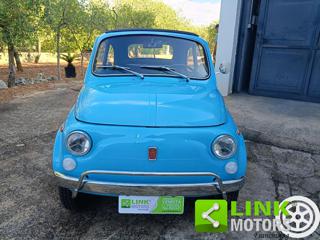 FIAT 500L usata 5