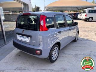 FIAT Panda usata, con Boardcomputer