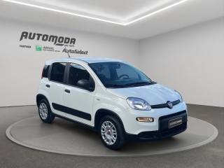 FIAT Panda usata, con Airbag Passeggero