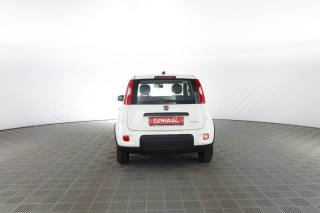 FIAT Panda usata 4