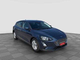 FORD Focus usata 6