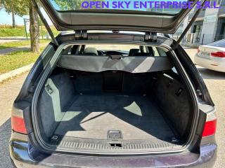 BMW 520 usata, con Climatizzatore