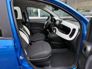 FIAT Panda Cross usata, con Immobilizzatore elettronico