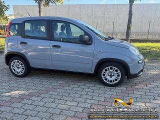 FIAT Panda usata, con Antifurto