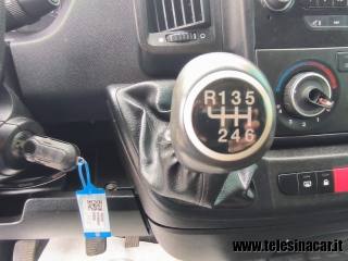 PEUGEOT  usata 18