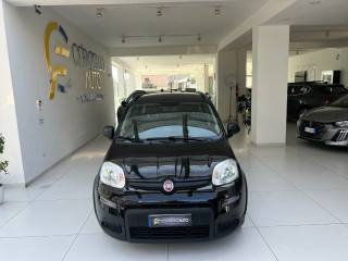 FIAT Panda usata, con Boardcomputer