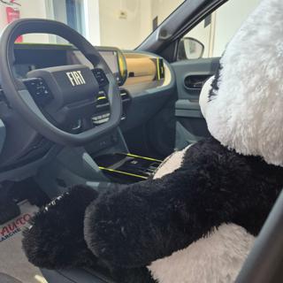 FIAT Grande Panda usata, con Airbag