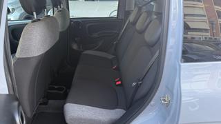FIAT Panda usata, con Fendinebbia