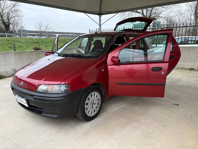 FIAT Punto usata 36