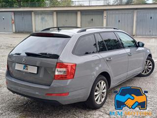 SKODA Octavia usata, con Antifurto