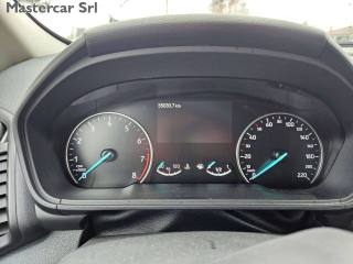 FORD EcoSport usata, con Park Distance Control