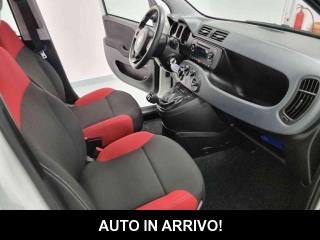 FIAT Panda usata, con Airbag testa