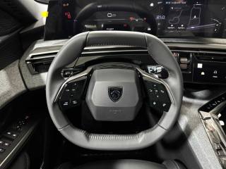 PEUGEOT 3008 usata, con Bracciolo