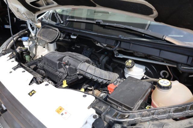 FORD Transit usata 66