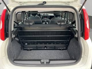 FIAT Panda usata 14