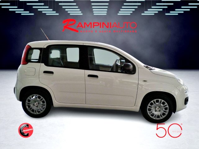 FIAT Panda usata 3