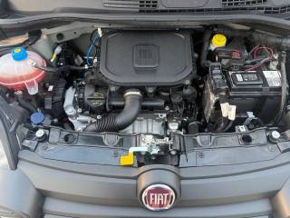 FIAT Panda Cross usata, con Servosterzo