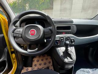 FIAT Panda usata, con ESP