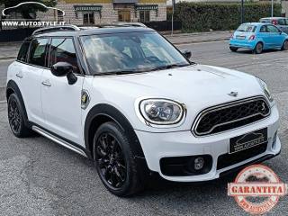 MINI Countryman usata, con Chiusura centralizzata telecomandata