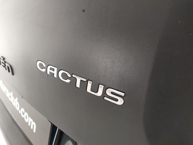 CITROEN C4 Cactus usata, con Touch screen