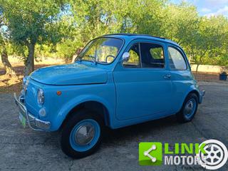 FIAT 500L usata 49