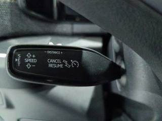 SKODA Kodiaq usata, con Specchietti laterali elettrici