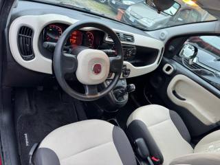FIAT Panda usata 16