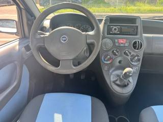 FIAT Panda usata 6