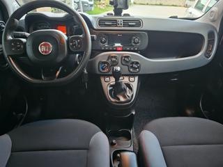 FIAT Panda usata, con Fendinebbia
