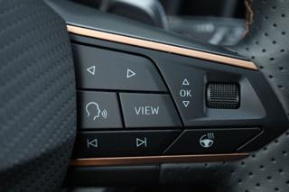 CUPRA Leon usata, con Bracciolo