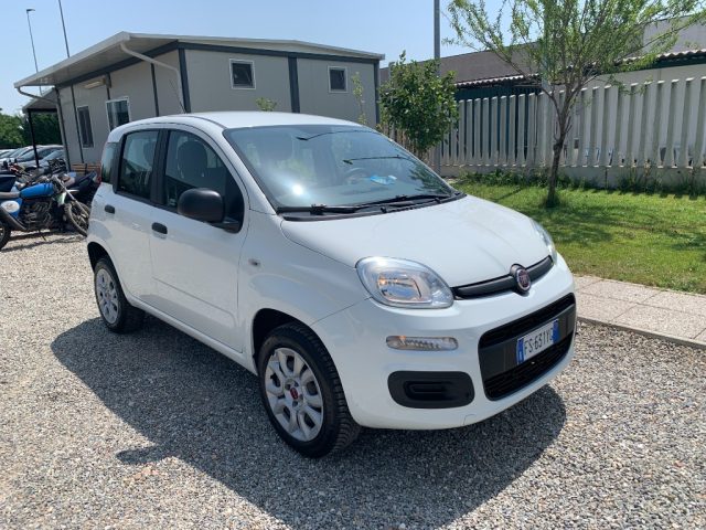 FIAT Panda usata, con Airbag Passeggero
