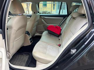 SKODA Octavia usata, con Cruise Control