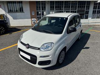 FIAT Panda usata, con Airbag