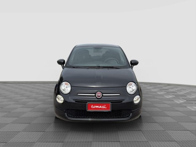 FIAT 500 usata 7
