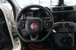 FIAT Panda usata 43