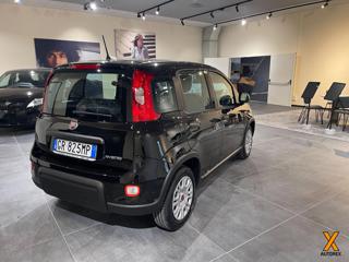 FIAT Panda usata, con Chiusura centralizzata