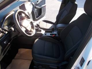 FORD Kuga usata, con Cronologia tagliandi