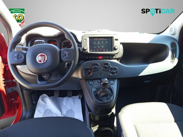 FIAT Panda Cross usata, con Fendinebbia