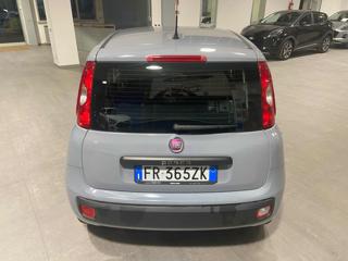 FIAT Panda usata, con Climatizzatore