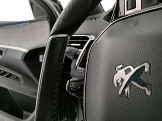 PEUGEOT 3008 usata, con Filtro antiparticolato