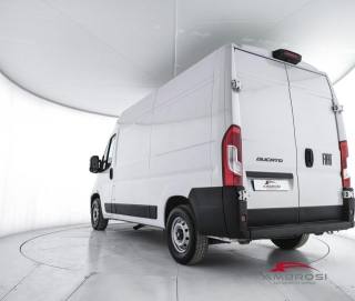 FIAT Ducato usata 3