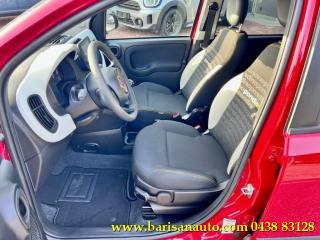 FIAT Panda usata, con Alzacristalli elettrici