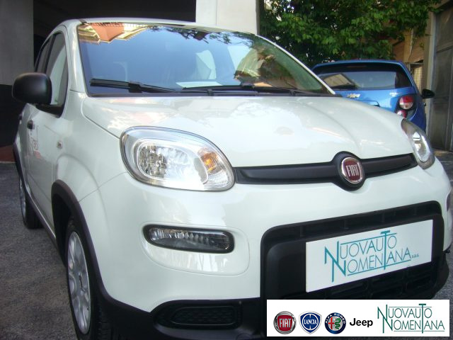 FIAT Panda usata, con Antifurto
