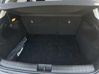 FIAT Tipo usata, con Immobilizzatore elettronico