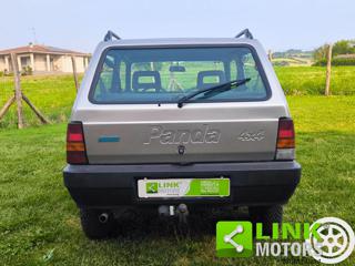 FIAT Panda usata, con Immobilizzatore elettronico
