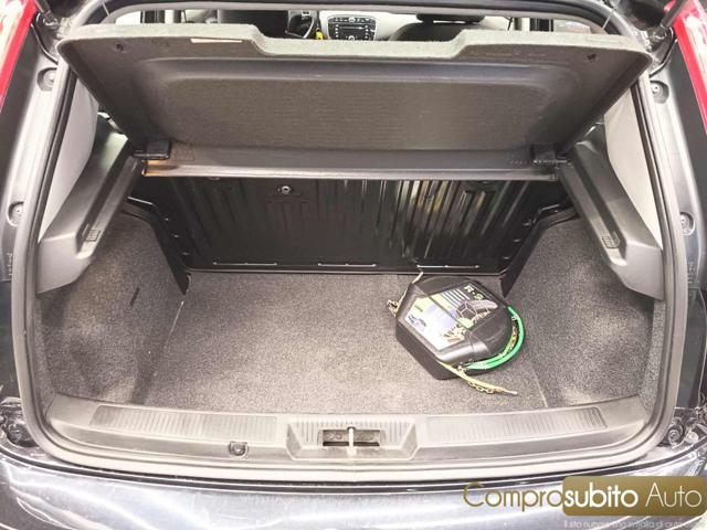 FIAT Punto usata 12