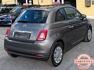 FIAT 500 usata 43
