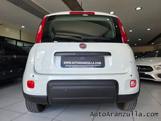 FIAT Panda usata, con Airbag testa