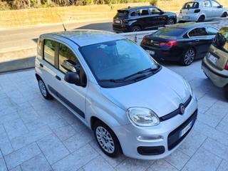 FIAT Panda usata, con Airbag